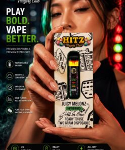 HITZ Players Club 2G Disposable